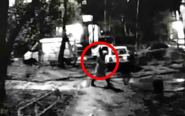 Bilgisayar oyunundan etkilenen çocuk, genç kızı vahşice öldürdü