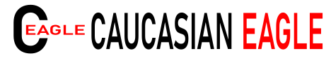CAUCASIAN EAGLE © 2009 – 2026